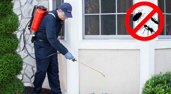 Babadağ Karınca İlaçlama böcek ilaçlama ve haşere kontrolü — ilaclama-tr.com